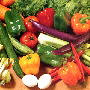 Vegetable Gardening on When Your Garden Runneth Over  Veggie Trader    Vegetables